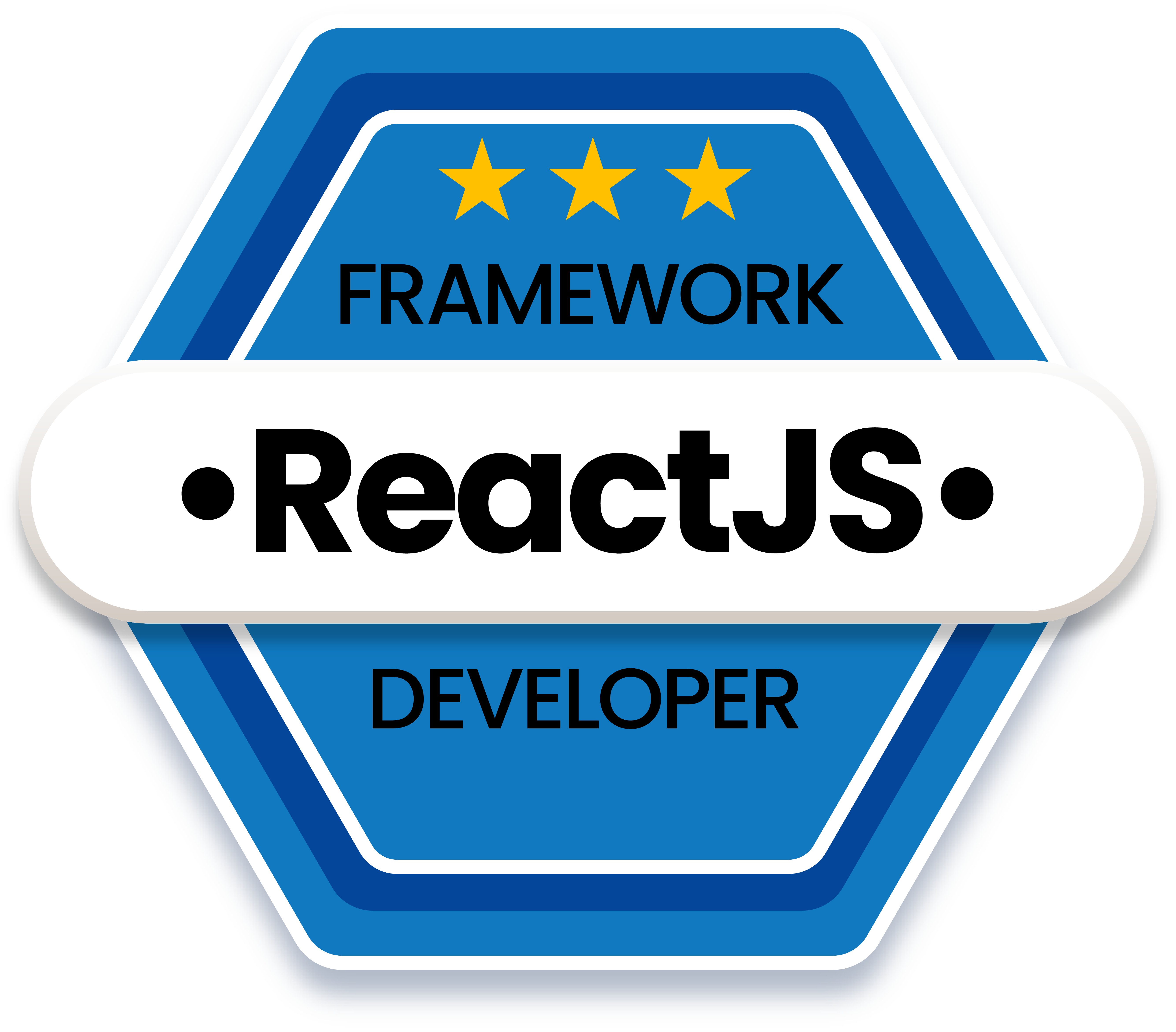 ReactJS Framework Developer